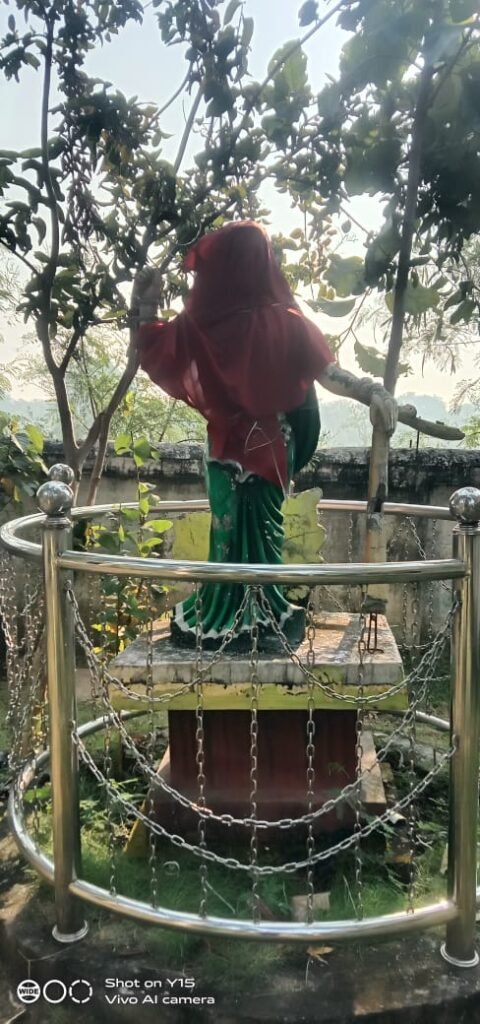 ग्राम पंचायत नारी में छत्तीसगढ़ महतारी का अपमान — टूटी प्रतिमा को लाल कपड़े में छिपाकर लापरवाही ढंकने की नाकाम कोशिश